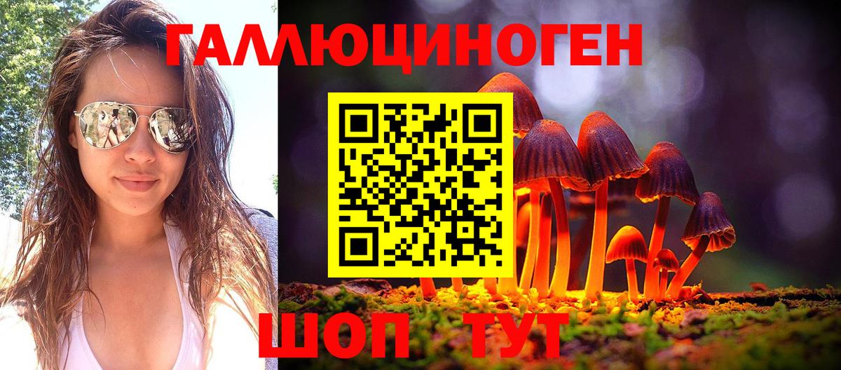 Псилоцибиновые грибы GOLDEN TEACHER Новошахтинск